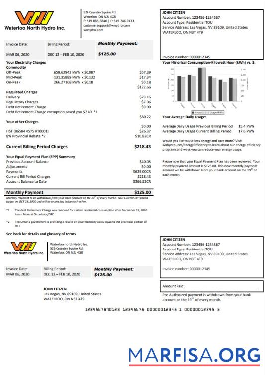Printable USA Nevada Waterloo North Hydro utility bill template in Word and PDF format